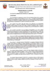 Vista preliminar de documento ordenanza municipal
