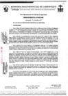 Vista preliminar de documento ordenanza municipal
