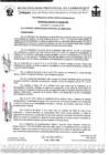 Vista preliminar de documento ordenanza municipal