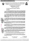 Vista preliminar de documento ordenanza municipal