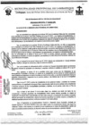 Vista preliminar de documento ordenanza municipal