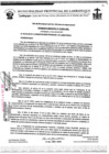 Vista preliminar de documento ordenanza municipal
