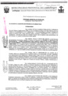 Vista preliminar de documento ordenanza municipal