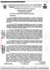 Vista preliminar de documento ordenanza municipal
