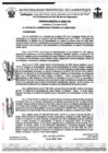 Vista preliminar de documento ordenanza municipal