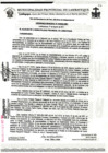 Vista preliminar de documento ordenanza municipal