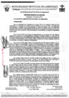 Vista preliminar de documento ordenanza municipal