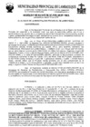 Vista preliminar de documento Acuerdo de Concejo