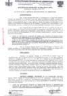Vista preliminar de documento Acuerdo de Concejo
