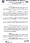 Vista preliminar de documento Acuerdo de Concejo