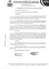 Vista preliminar de documento Acuerdo de Concejo
