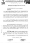 Vista preliminar de documento Acuerdo de Concejo