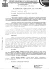Vista preliminar de documento Acuerdo de Concejo
