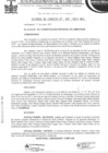 Vista preliminar de documento Acuerdo de Concejo