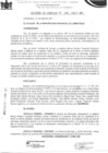 Vista preliminar de documento Acuerdo de Concejo