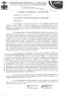 Vista preliminar de documento Acuerdo de Concejo