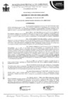 Vista preliminar de documento Acuerdo de Concejo