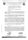 Vista preliminar de documento Acuerdo de Concejo