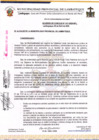 Vista preliminar de documento Acuerdo de Concejo