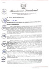 Vista preliminar de documento RD-417-2021-DE-COPESCO