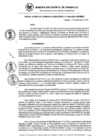 Vista preliminar de documento RG_430-2021.pdf