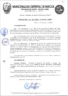 Vista preliminar de documento 262.pdf