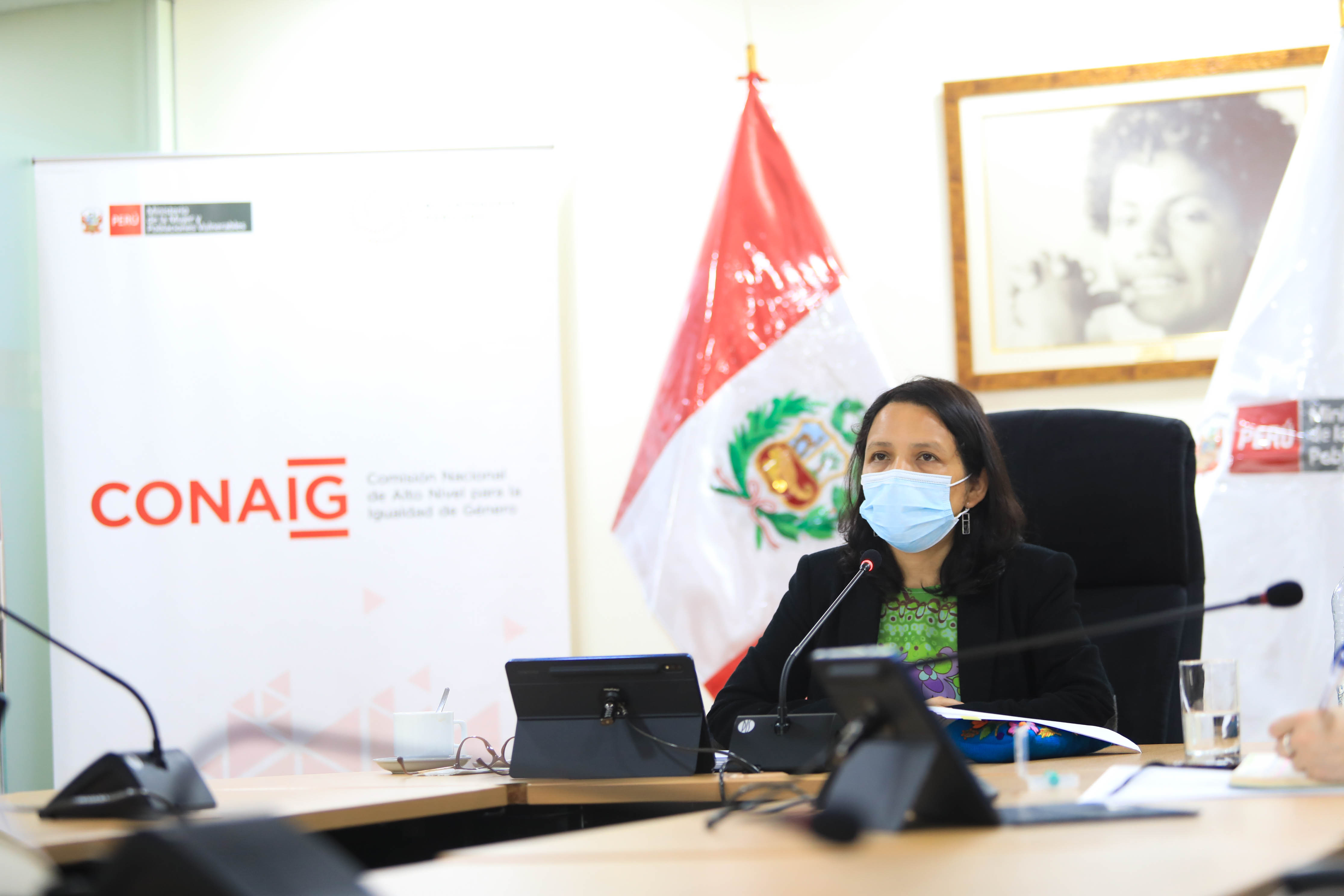 Comisión Nacional de Alto Nivel para la Igualdad de Género