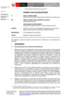 Vista preliminar de documento Informe_01047_2021_SENACE_PE_DEIN.pdf