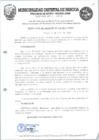 Vista preliminar de documento 272.pdf