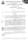 Vista preliminar de documento Resolución de gerencia