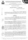 Vista preliminar de documento Resolución de gerencia