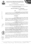 Vista preliminar de documento Resolución de gerencia