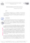 Vista preliminar de documento Resolución de gerencia
