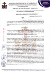 Vista preliminar de documento Resolución de gerencia