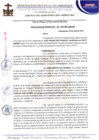 Vista preliminar de documento Resolución de gerencia