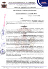 Vista preliminar de documento Resolución de gerencia