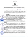 Vista preliminar de documento RGRDS N° 249-2021