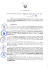 Vista preliminar de documento RGRDS N° 254-2021