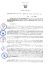 Vista preliminar de documento RGRDS N° 255-2021