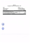Vista preliminar de documento Anexo 1