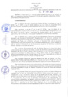 Vista preliminar de documento RER N° 665-2021
