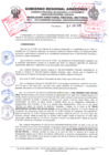Vista preliminar de documento RESOLUCIÓN 196-2019.pdf