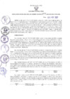 Vista preliminar de documento RES-293-2021