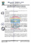 Vista preliminar de documento G MUNICIPAL N 383.pdf