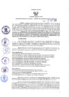 Vista preliminar de documento RGRI N° 153-2021
