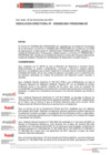 Vista preliminar de documento Resolución Directoral