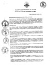 Vista preliminar de documento 305-2020