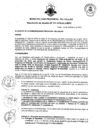 Vista preliminar de documento 317-2020