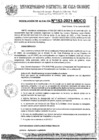 Vista preliminar de documento RA153_2021.pdf