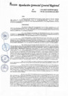 Vista preliminar de documento Resolución de Gerencia General